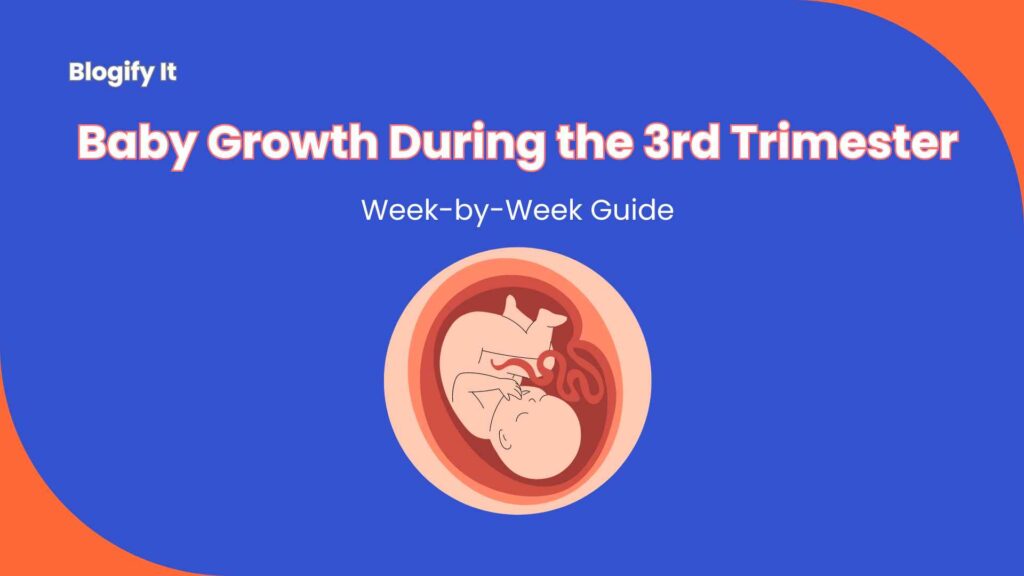 Baby-Growth-During-the-3rd-Trimester