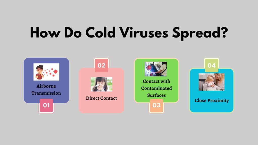 How Do Cold Viruses Spread?