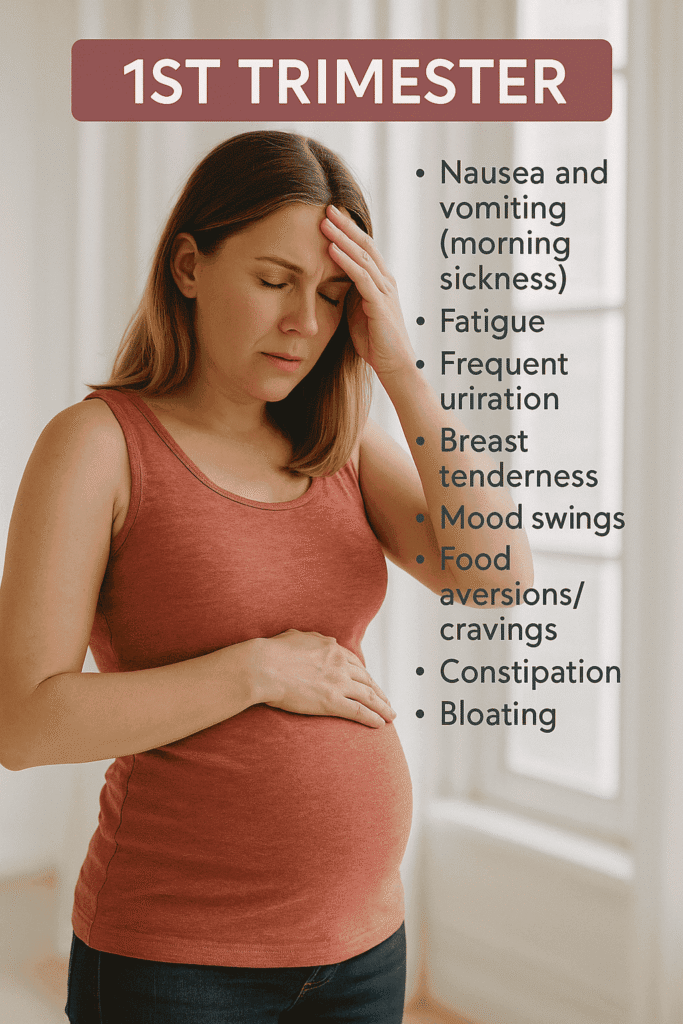1st trimester pregnancy changes in body