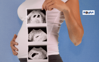 My First Trimester Journey Symptoms, Emotions, and Lessons